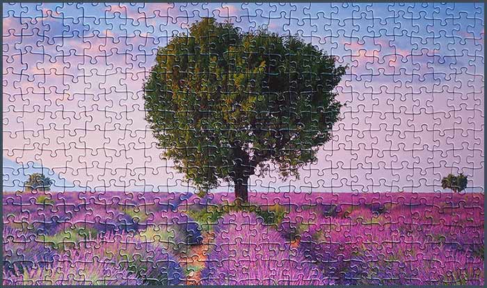 Puzzle mit eigenem Foto gestalten Fotopuzzle bestellen