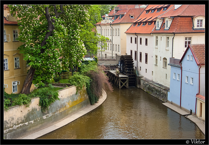 Foto- Blick von der Karlsbrücke - Prag