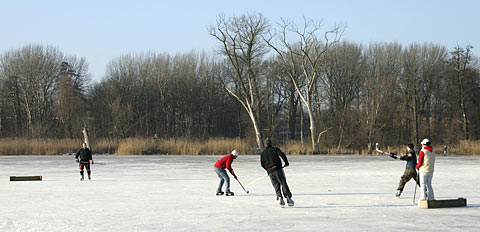 Eishockey