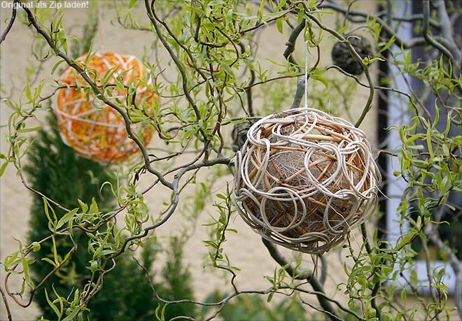 Korkenzieherweide mit Baumschmuck