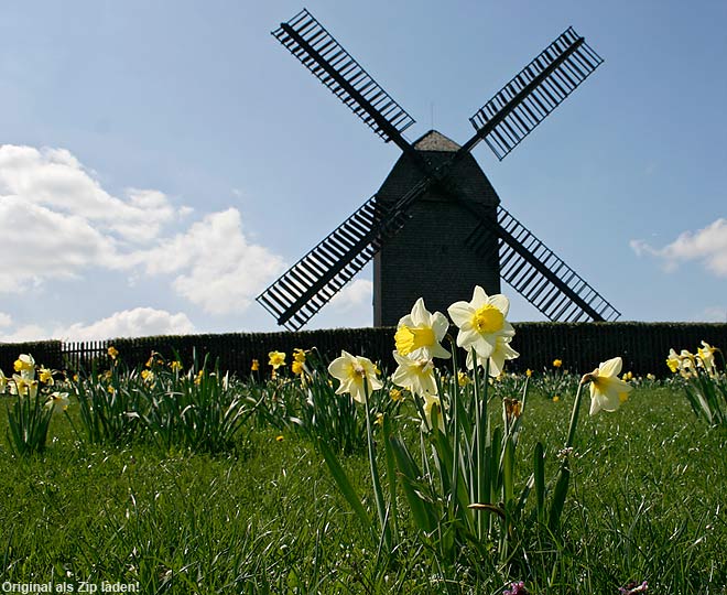 Mühle in Marzahn