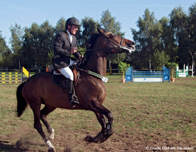 Springreiter in Malchow