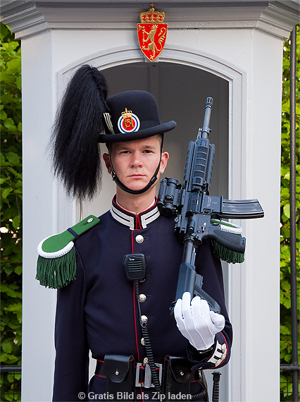 Schlosswache am Osloer Schloss