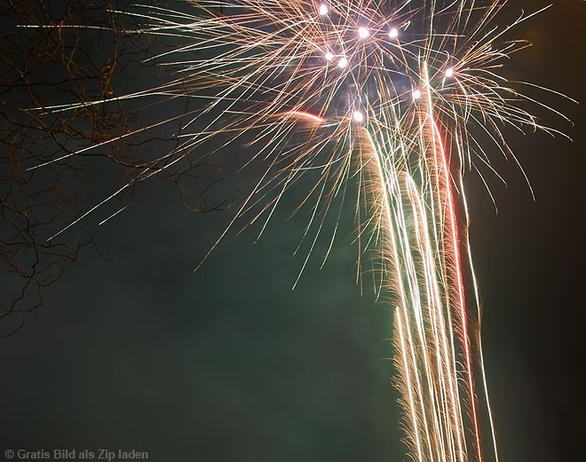 Feuerwerk - Zweige 