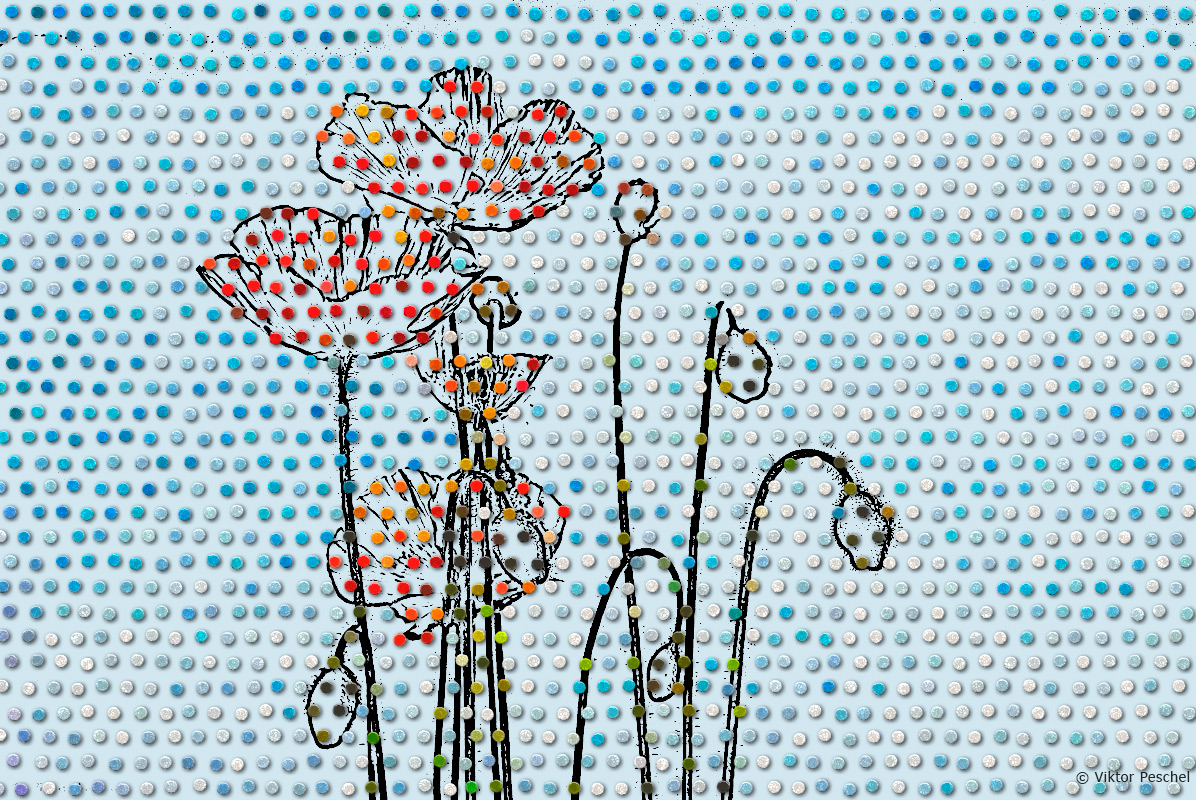 Mohn Mohn