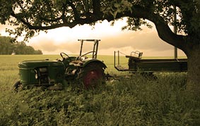 Sepia-Bild nach der Anwendun