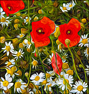 Mohnbild mit OilPaint erstellt Mohnbild mit OilPaint erstellt