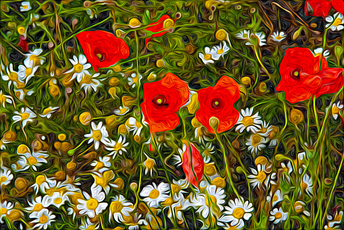 Mohnbild fertig erstellt Mohnbild fertig erstellt