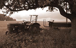 Sepia-Bild